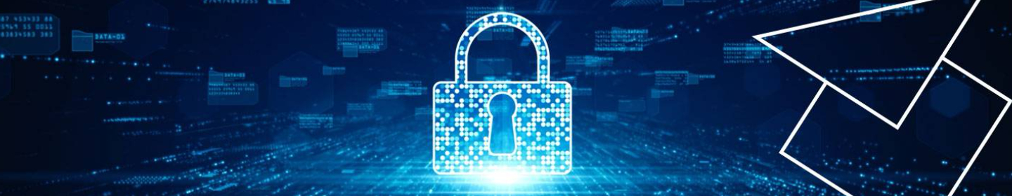 Pamoplus Specialisti in Cybersecurity